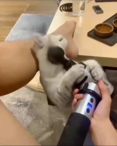 Hey man first me