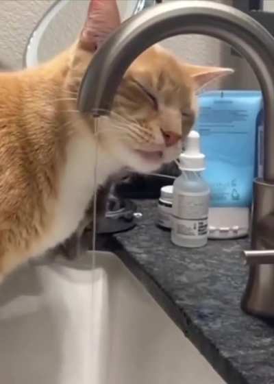 Guardian of Water 