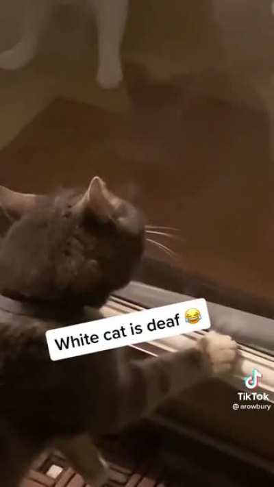 OMG 😂