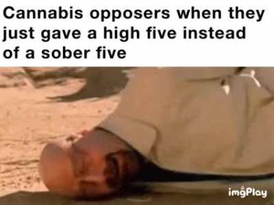 Meth&amp;gt;&amp;gt;&amp;gt;&amp;gt;&amp;gt;&amp;gt;&amp;gt;&amp;gt;&amp;gt;&amp;gt;cannabis amirite ? 😎