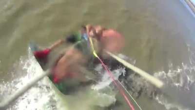 Heroic pit bull swim 5 miles out to sea to bite man. 