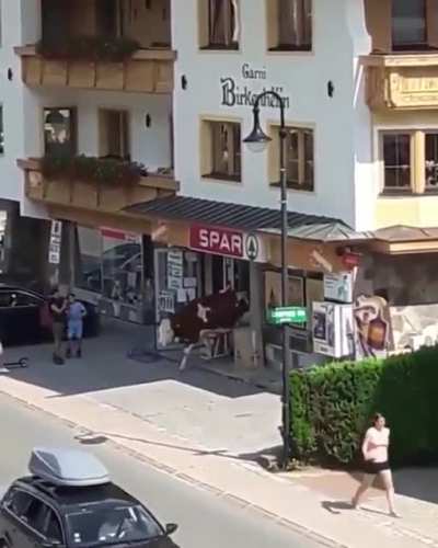 So a cow walks out of a spar and says...