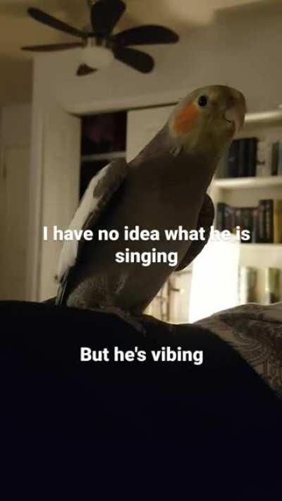 My baby boy is learning to sing