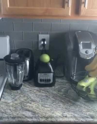 I don't know what he expected...