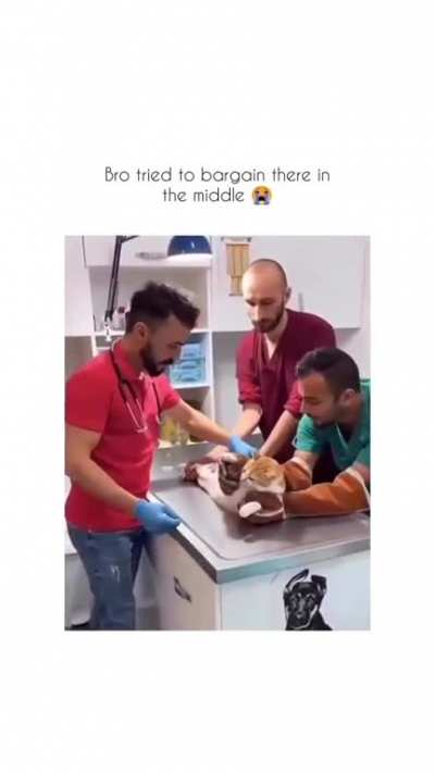 &ldquo;hear me out&rdquo;