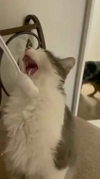 Nghooghohhgg