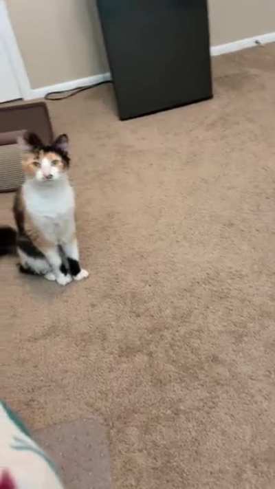 I think I’m being watched