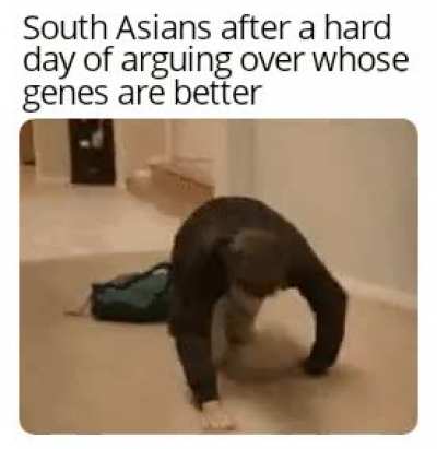 "Pajeets that, thameel that, kangladeshi that" bitch youre all brown like me