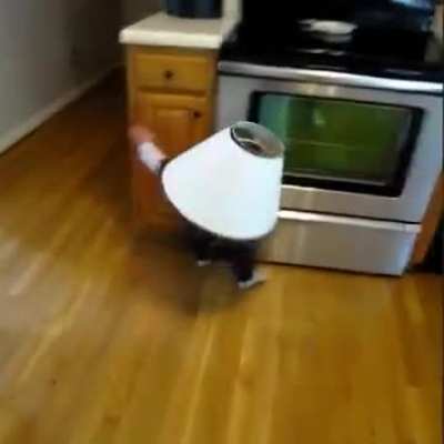 Bonk!