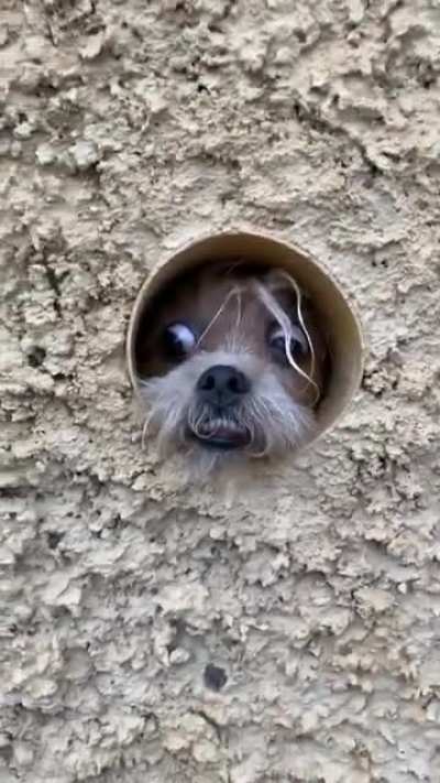 Does he thinks he is a spying or something?