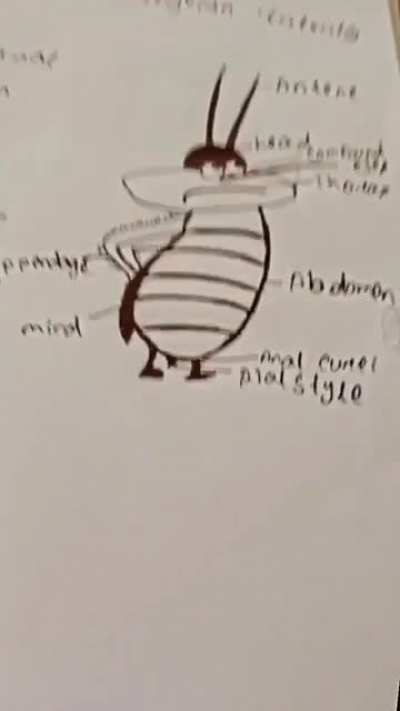 tit le