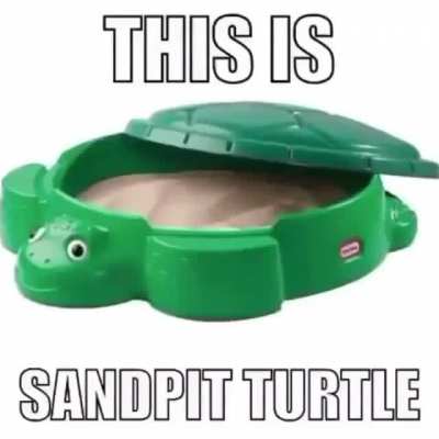 Sandpit urtle