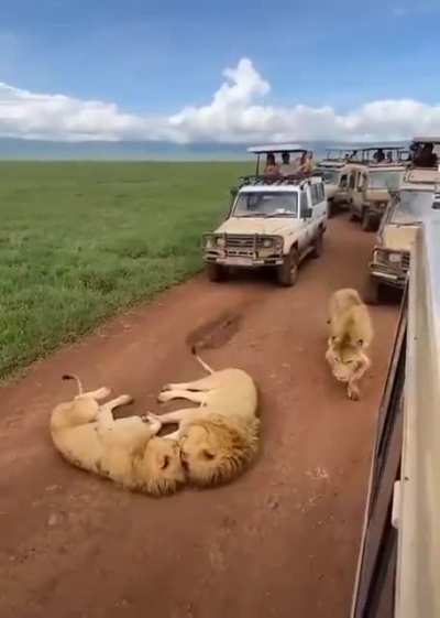 Roadblock in Tanzania