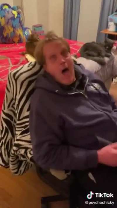 That cat is still in shock