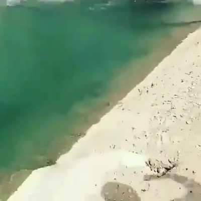 Let's Go Swimming