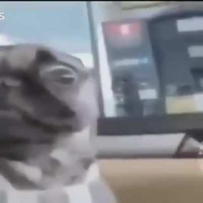 T&Aacute; PEGANO EU? 😳😳😳