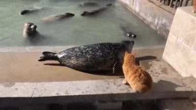 Defeated male rolls away