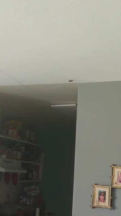 An Intruder In My Home...