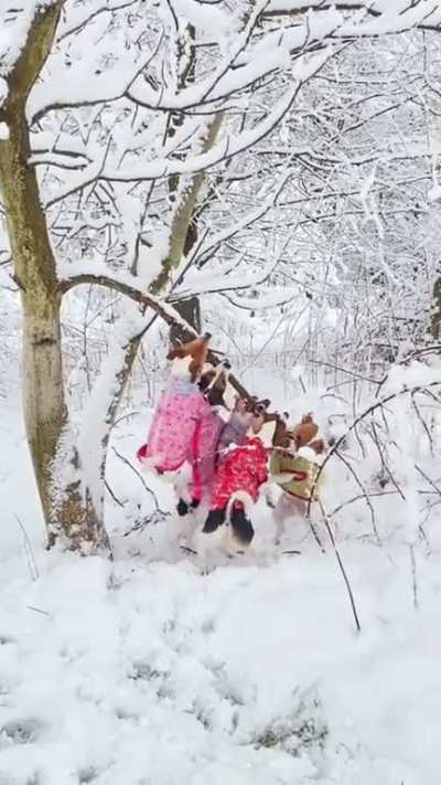 This is OUR stick!