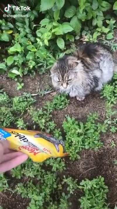 No it's Meow Mix