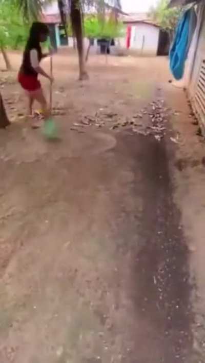 Raking all the leaves from an entire farm compound