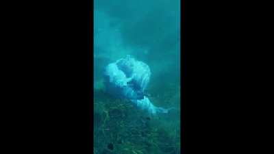 Manatees are basically "Horses of the River" and deserve respect.