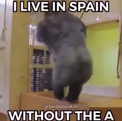 😔🤟