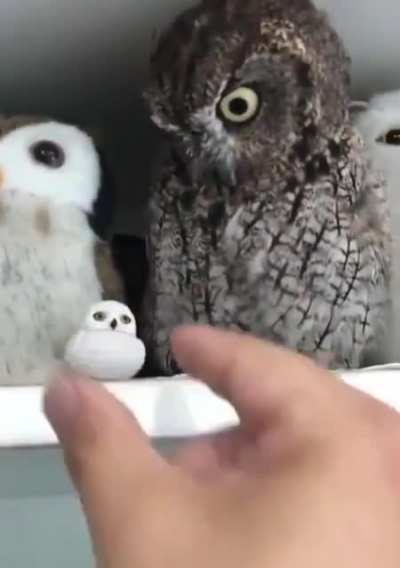 Who's the new guy?