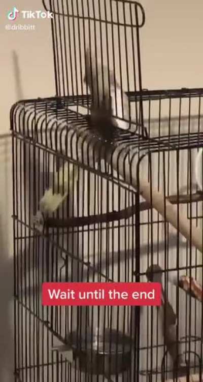 You&rsquo;re gonna fall!