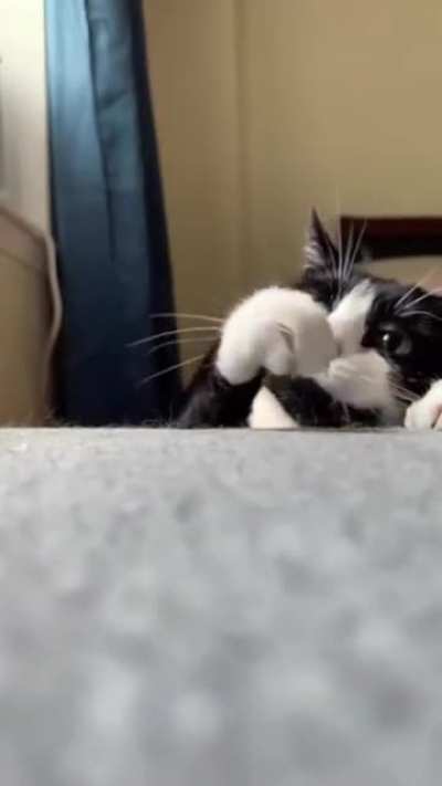 😻😻😻