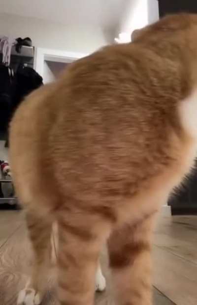Maybe maybe maybe