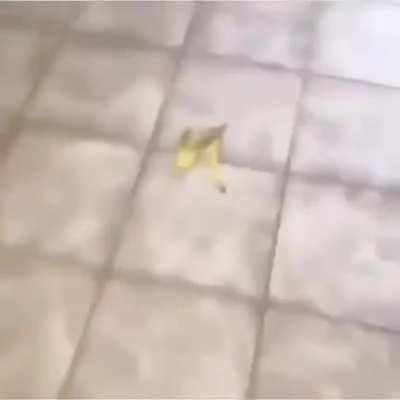 Banana