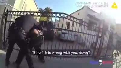 LAPD officers striking man repeatedly in Boyle heights