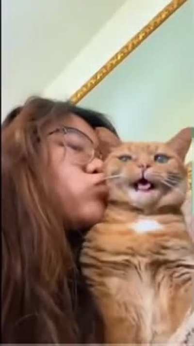 Well the cat wasn&rsquo;t having it