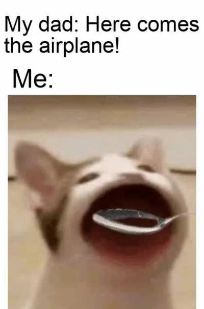 Kinda wholesome ngl.