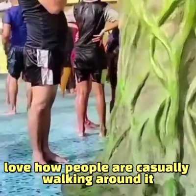 Biharis not shitting in open challenge (impossible)