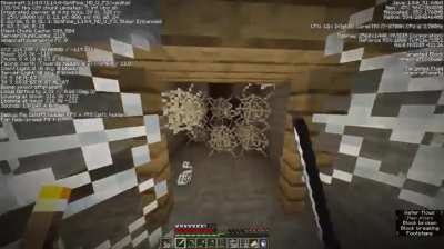 Minecraft moment