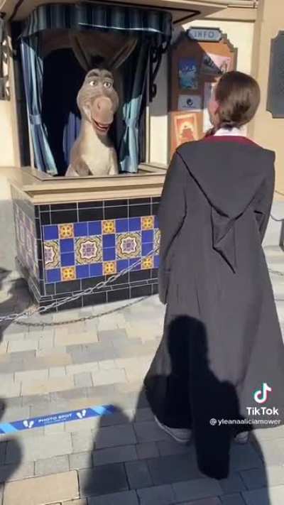 Donkey asked about one direction