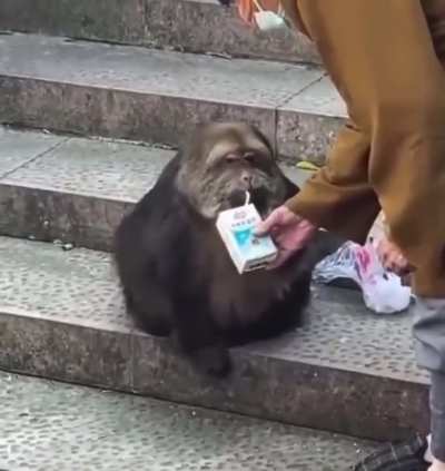 hmmm