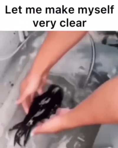 Crystal. Clear.