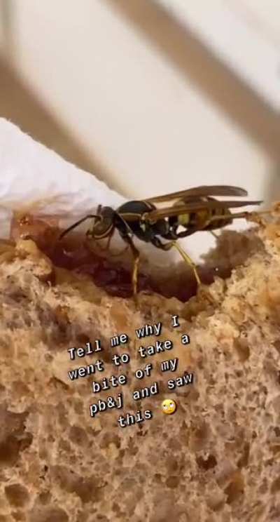 Bee-ware Or PB&amp;amp;Hornet?