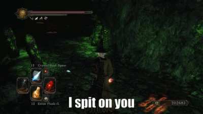 Made this dumb thing, "You don't like dark souls 2?"