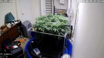 room is 8 ft wide