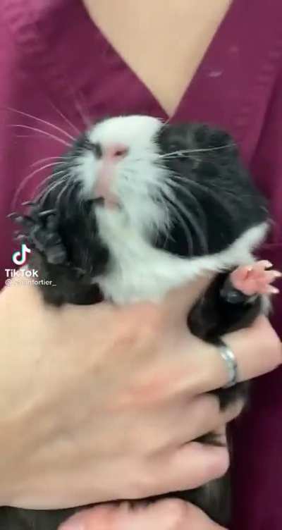Oh no, he hates it