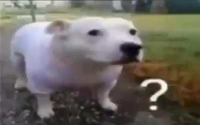 ????