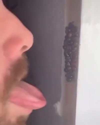 Just a quick snack