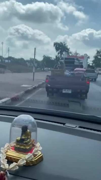 Monke Gangs in Thailand