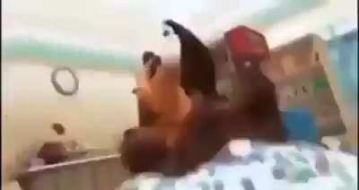 Funny noise × (Deer + bear) = funy