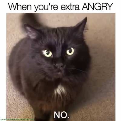 Maxwell angry
