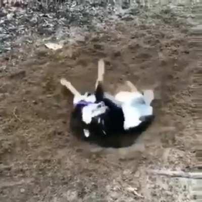 Копай её полностью!